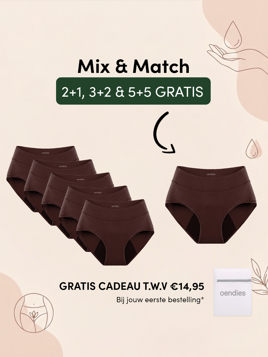 Huggster Brief | Bundel van 10 | Hevig Urineverlies | 100% lekvrij, dag & nacht | Donker Bruin